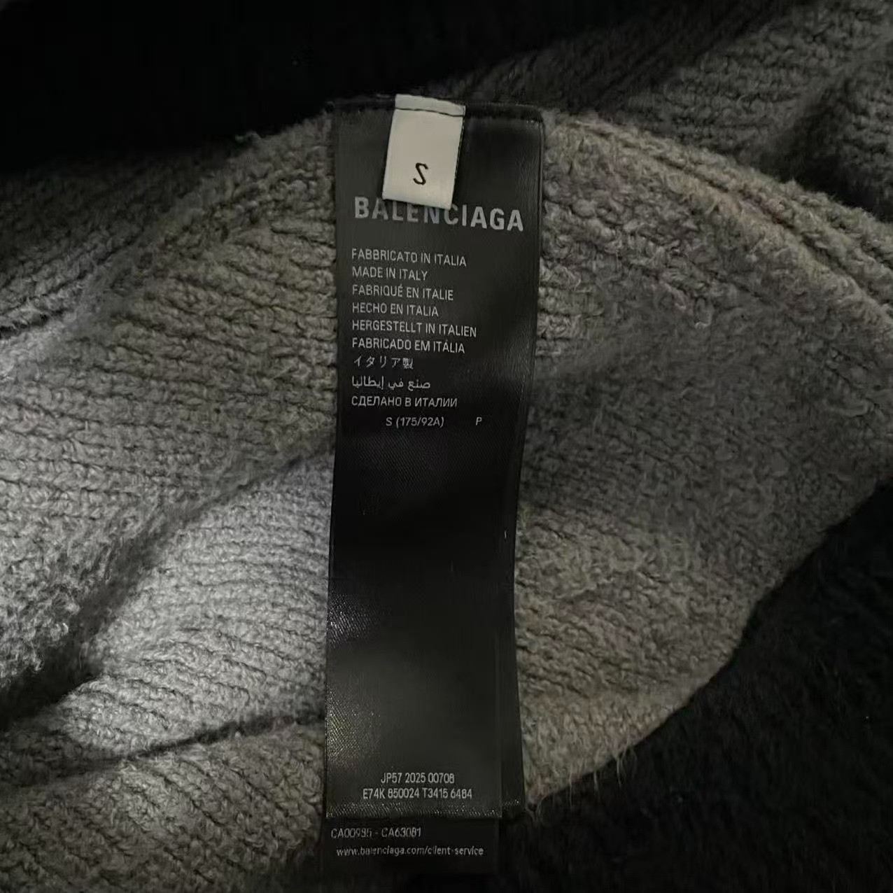 Balenciaga FW25 Fuzzy Zip Hooded Jacket — back