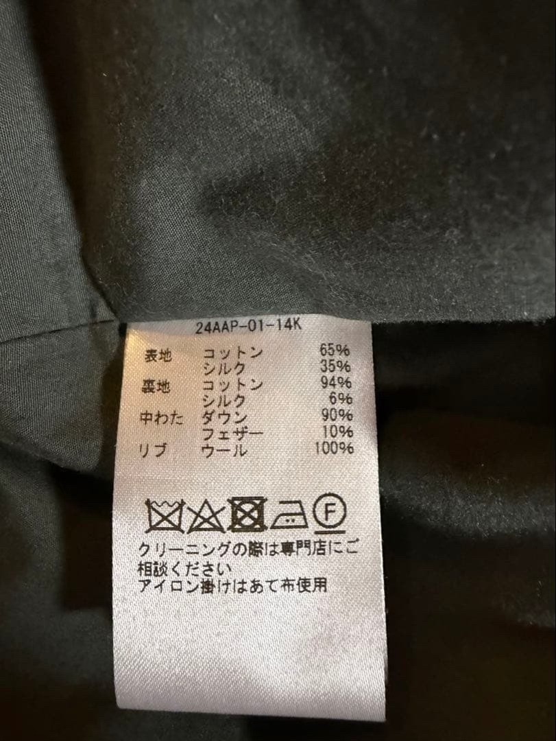 A.Presse 24AW Hooded Down Jacket — back
