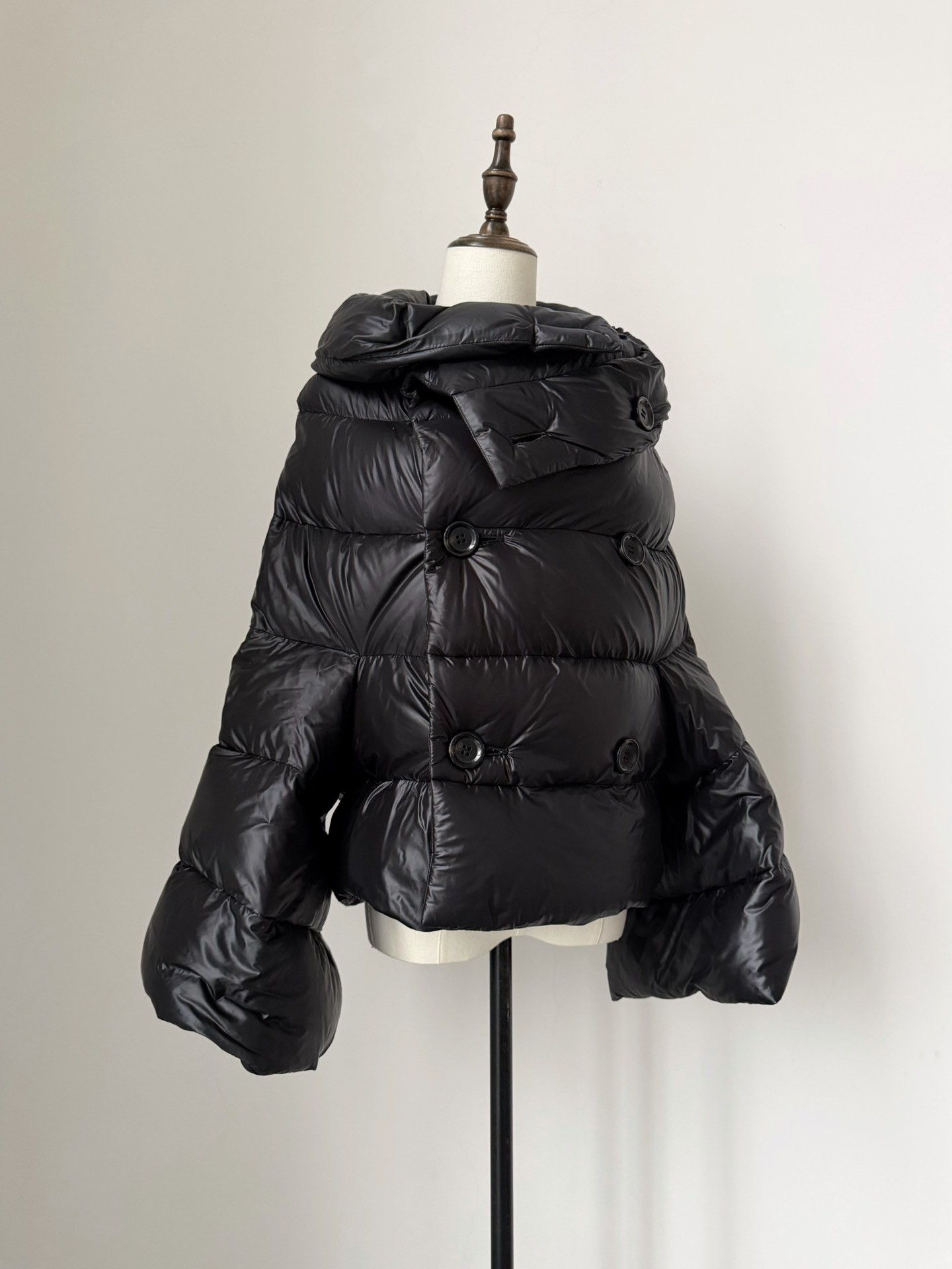 Junya Watanabe 2009 Down Jacket — back