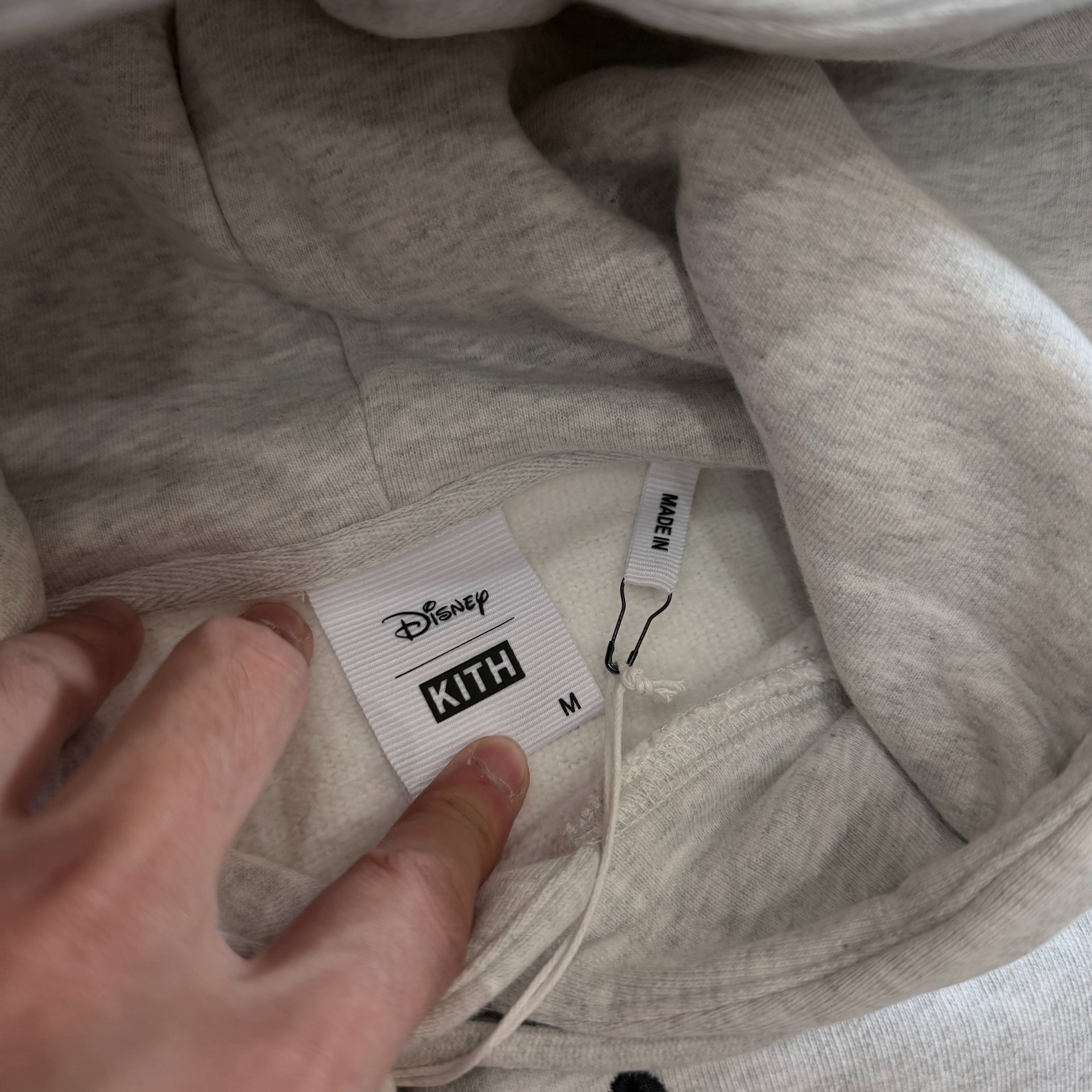 Kith Disney Pluto Embroidered Hoodie — back