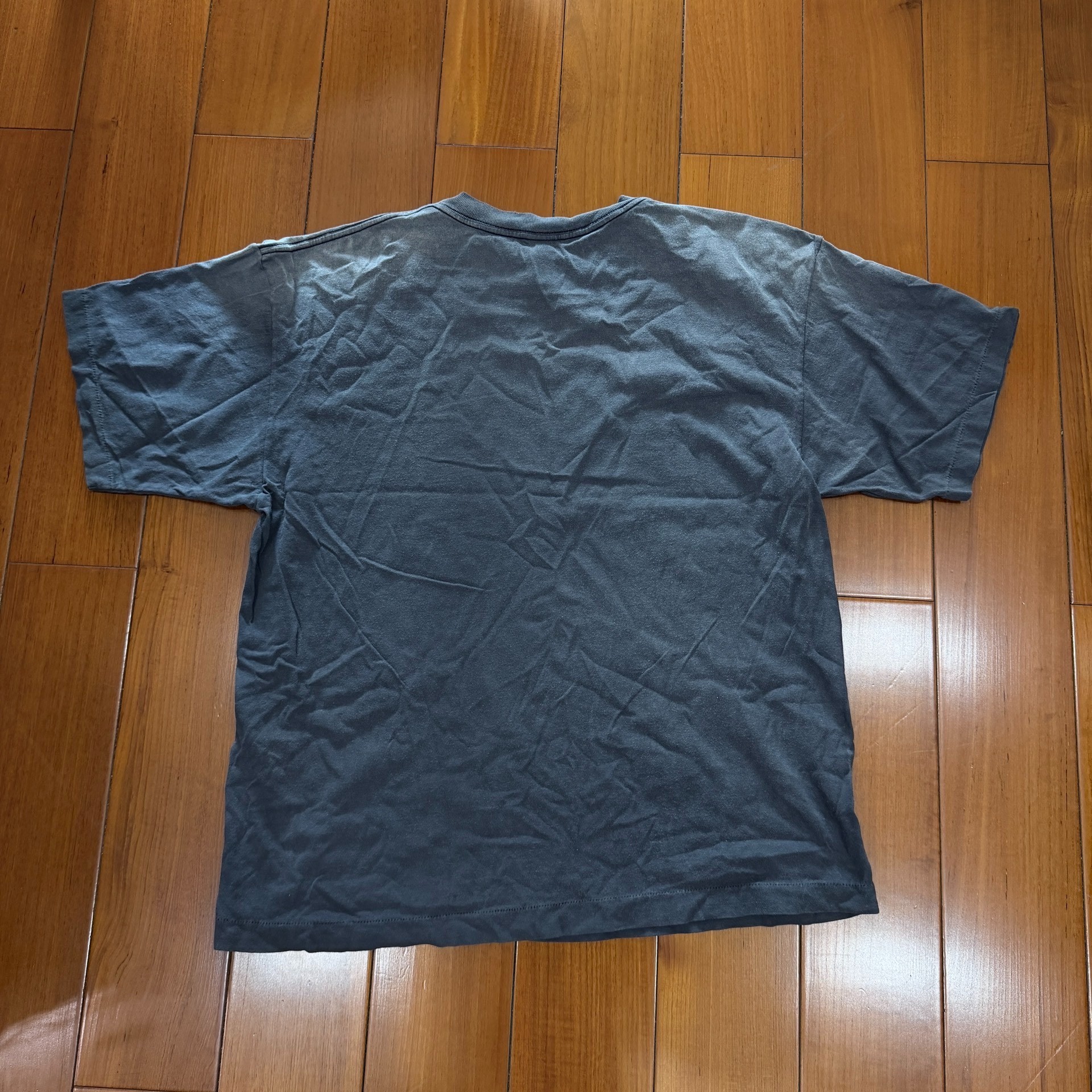 Saint Michael Dinosaur Egg Faded Tee — front