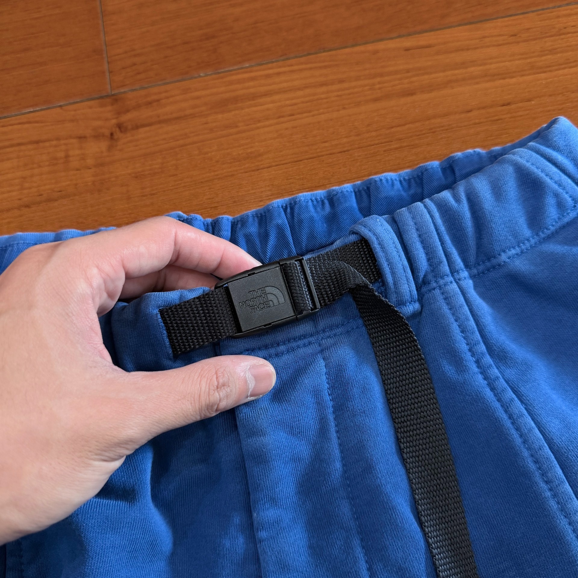 The North Face Blue Cargo Shorts — back