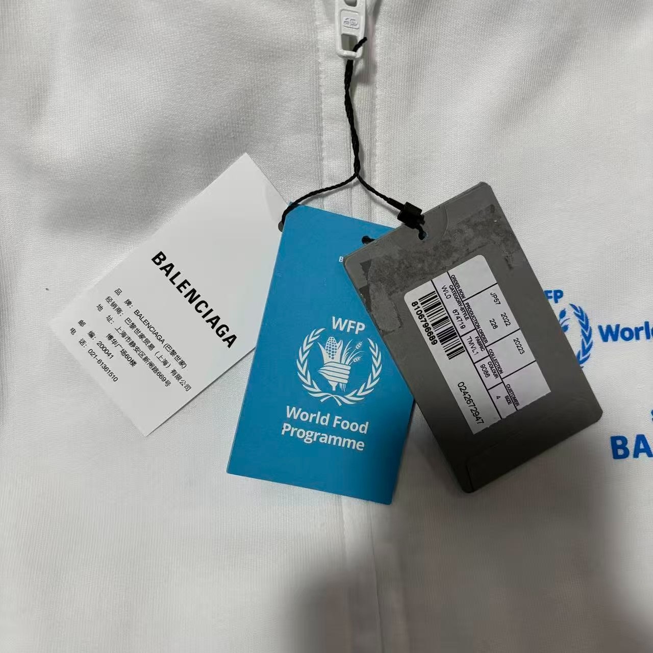 Balenciaga 23ss WFP Zip Hoodie — back