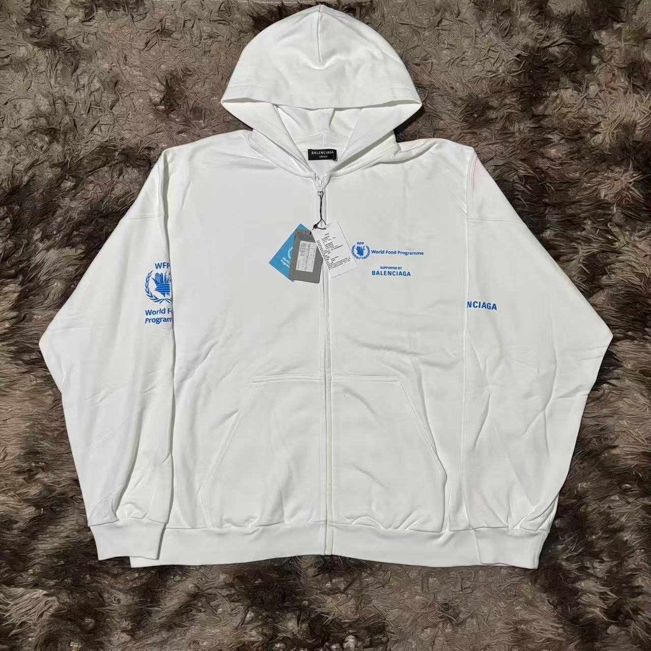 Balenciaga 23ss WFP Zip Hoodie