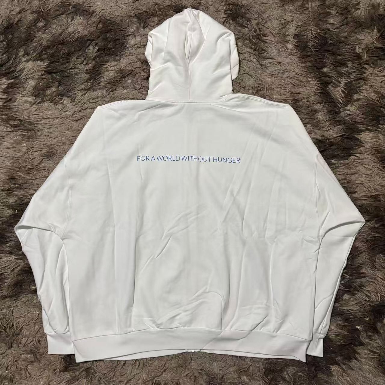 Balenciaga 23ss WFP Zip Hoodie — front