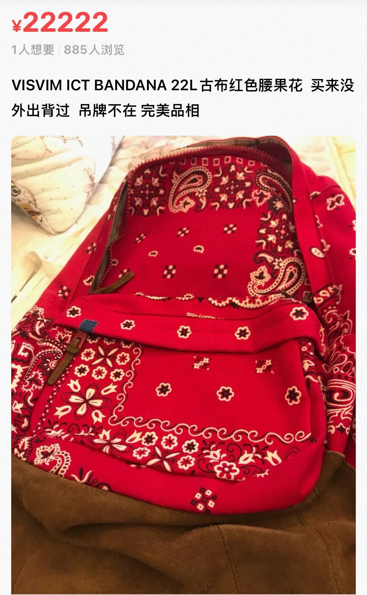 Visvim ICT Bandana 22L Backpack — back
