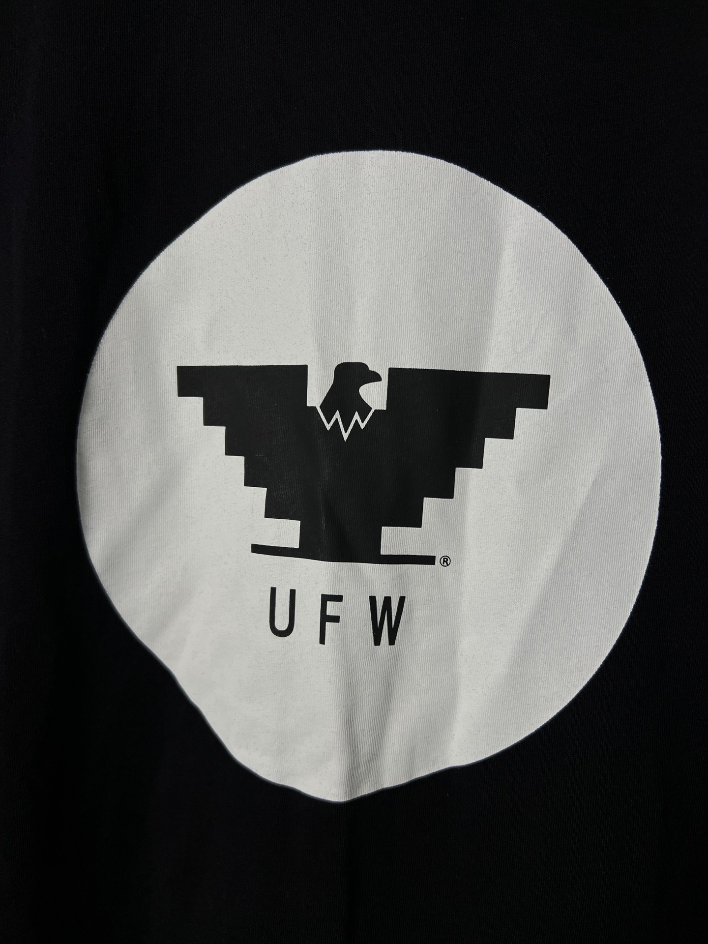 Rick Owens x UFW Eagle Print T-Shirt — front