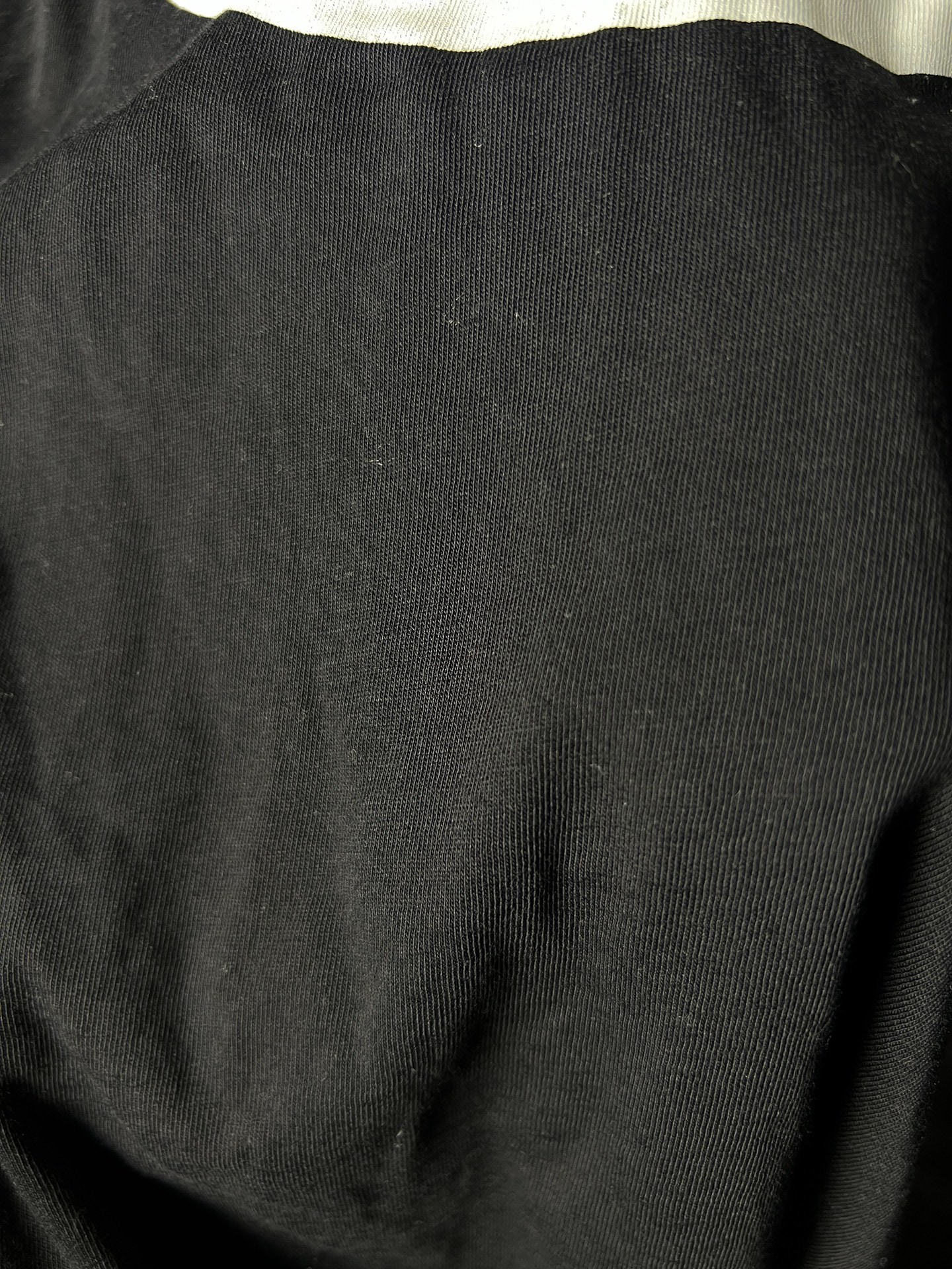 Rick Owens x UFW Eagle Print T-Shirt — back