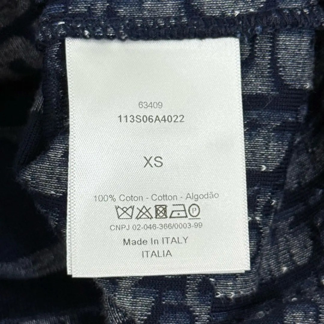 Dior Oblique Short-sleeved Hooded Sweater — back