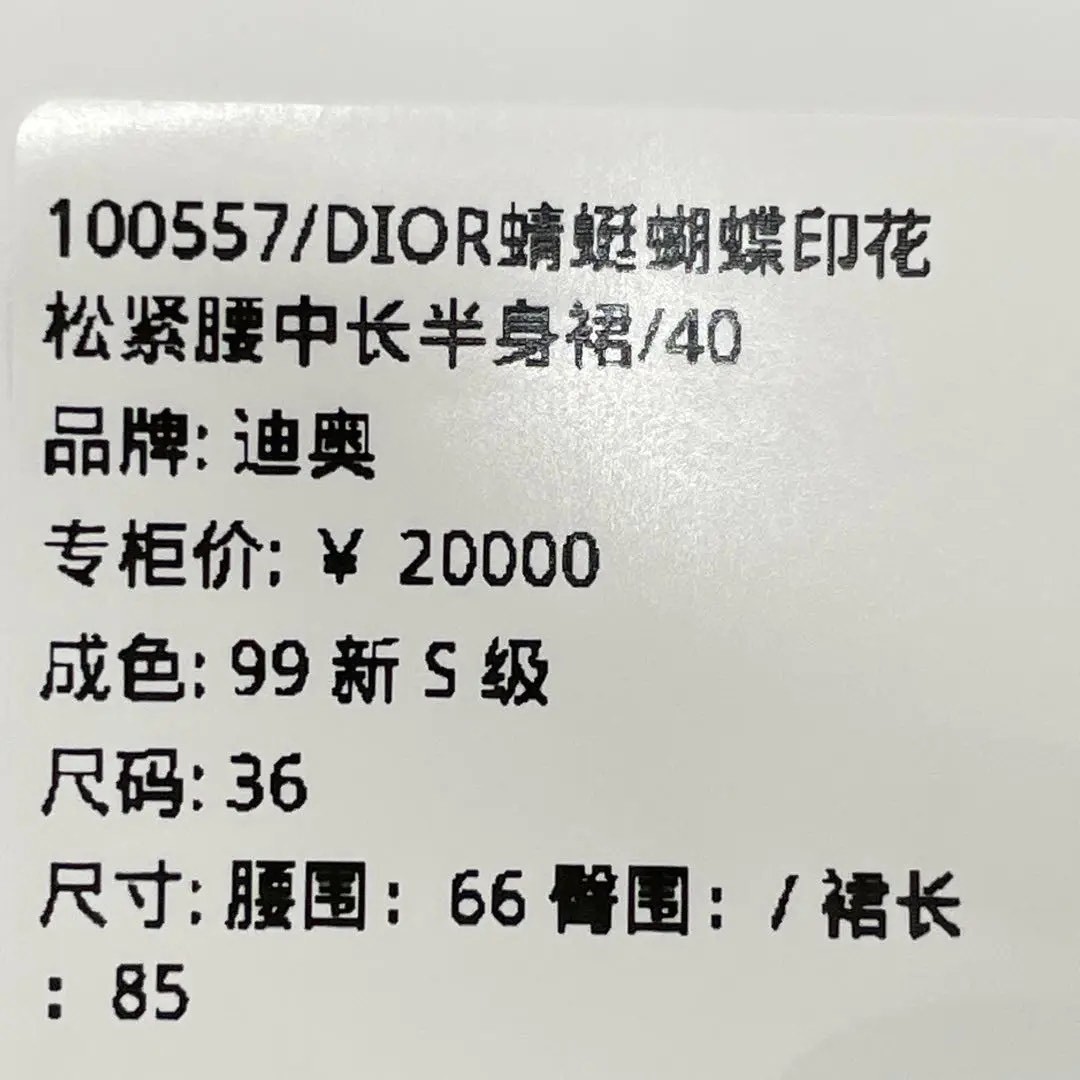 Dior Butterfly Print Midi Skirt — back