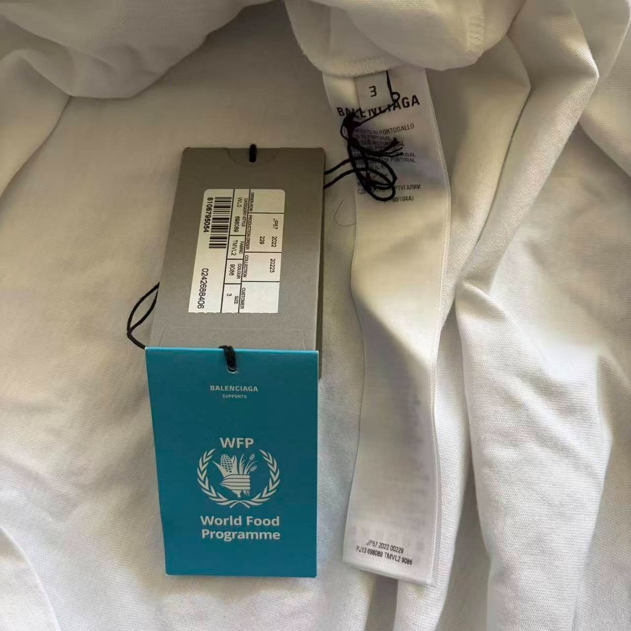 Balenciaga x WFP FW22 Long Sleeve Tee — back
