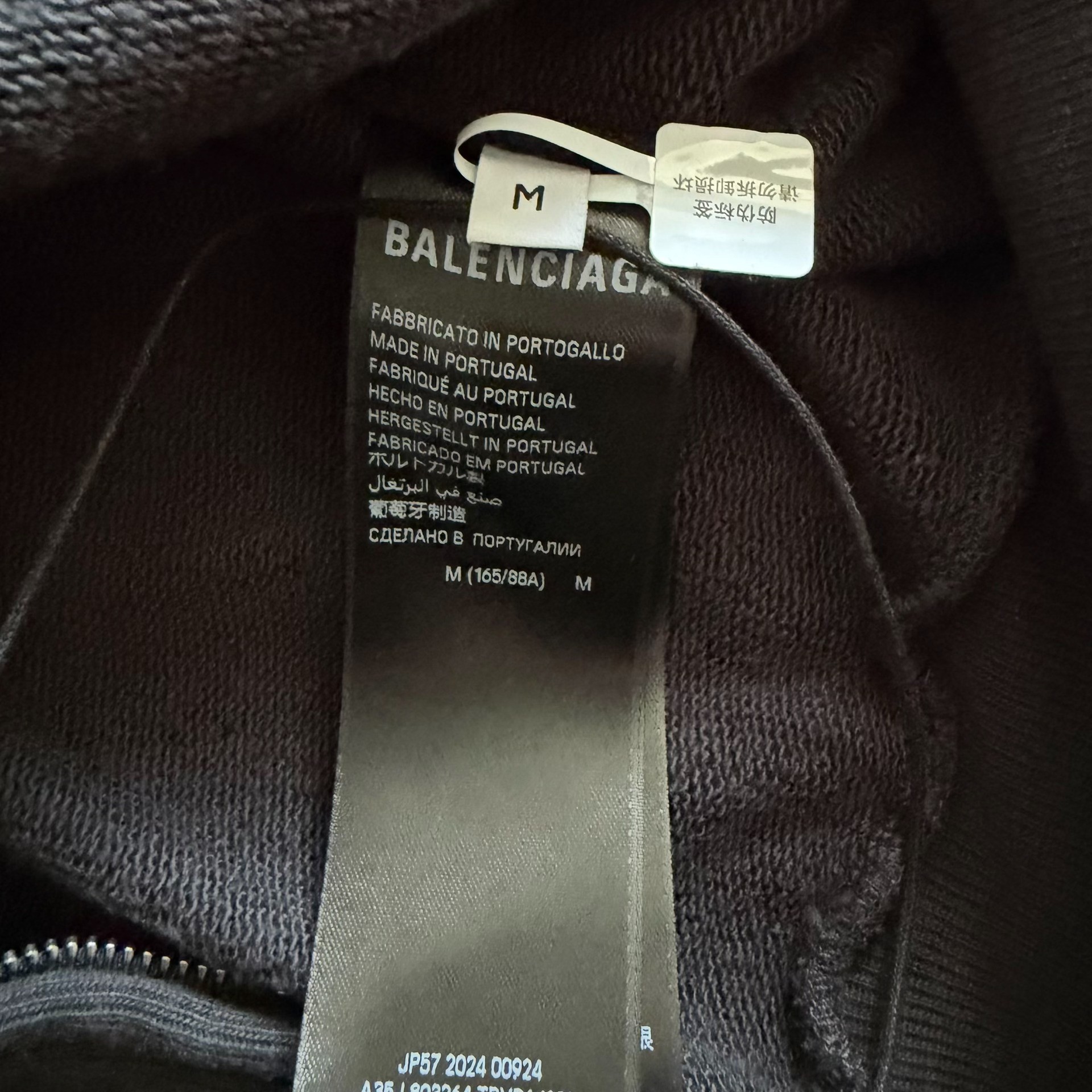 Balenciaga Planet Earth Zip Hoodie — back