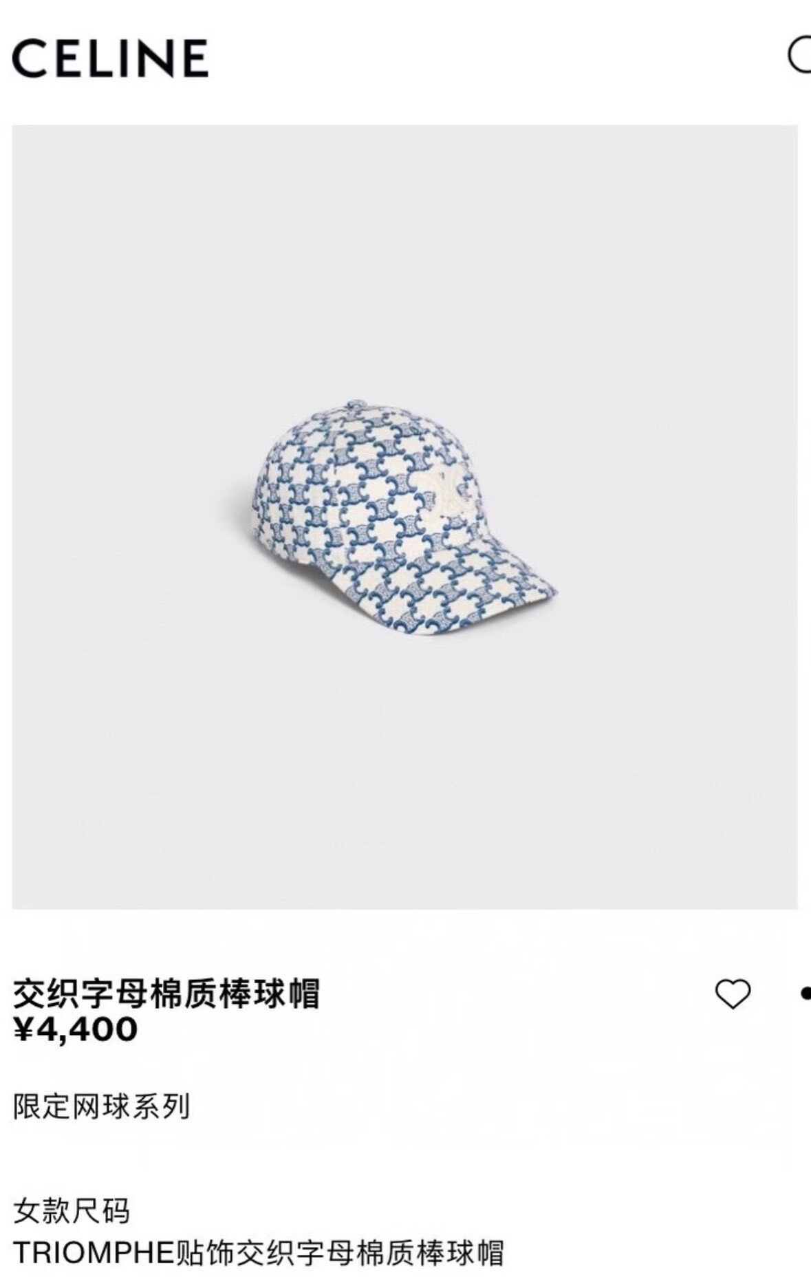 Celine Triomphe Canvas Baseball Cap — back