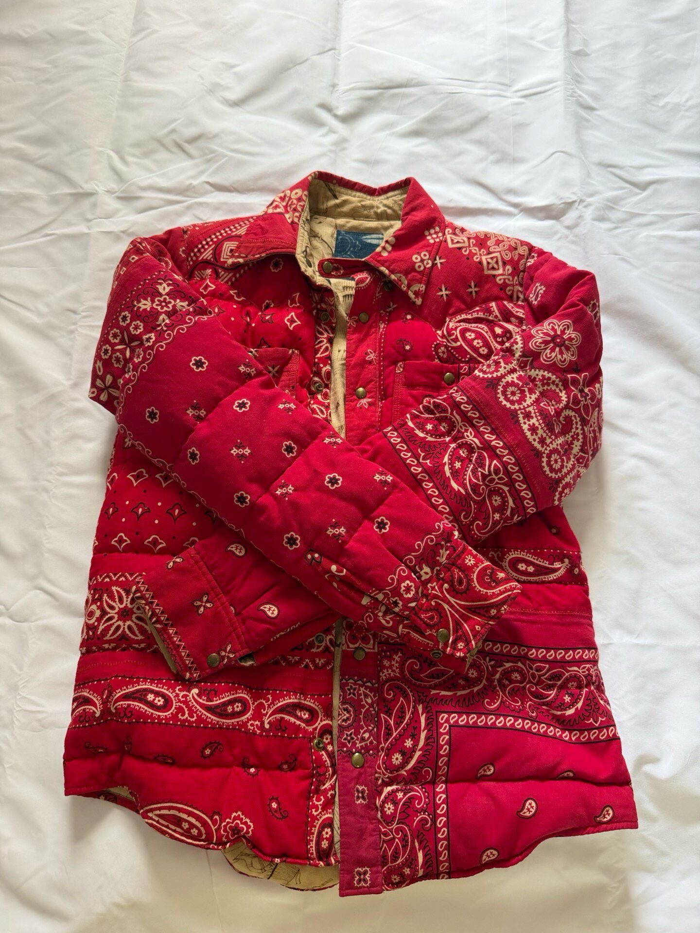Visvim 18 ICT Paisley Down Jacket — back