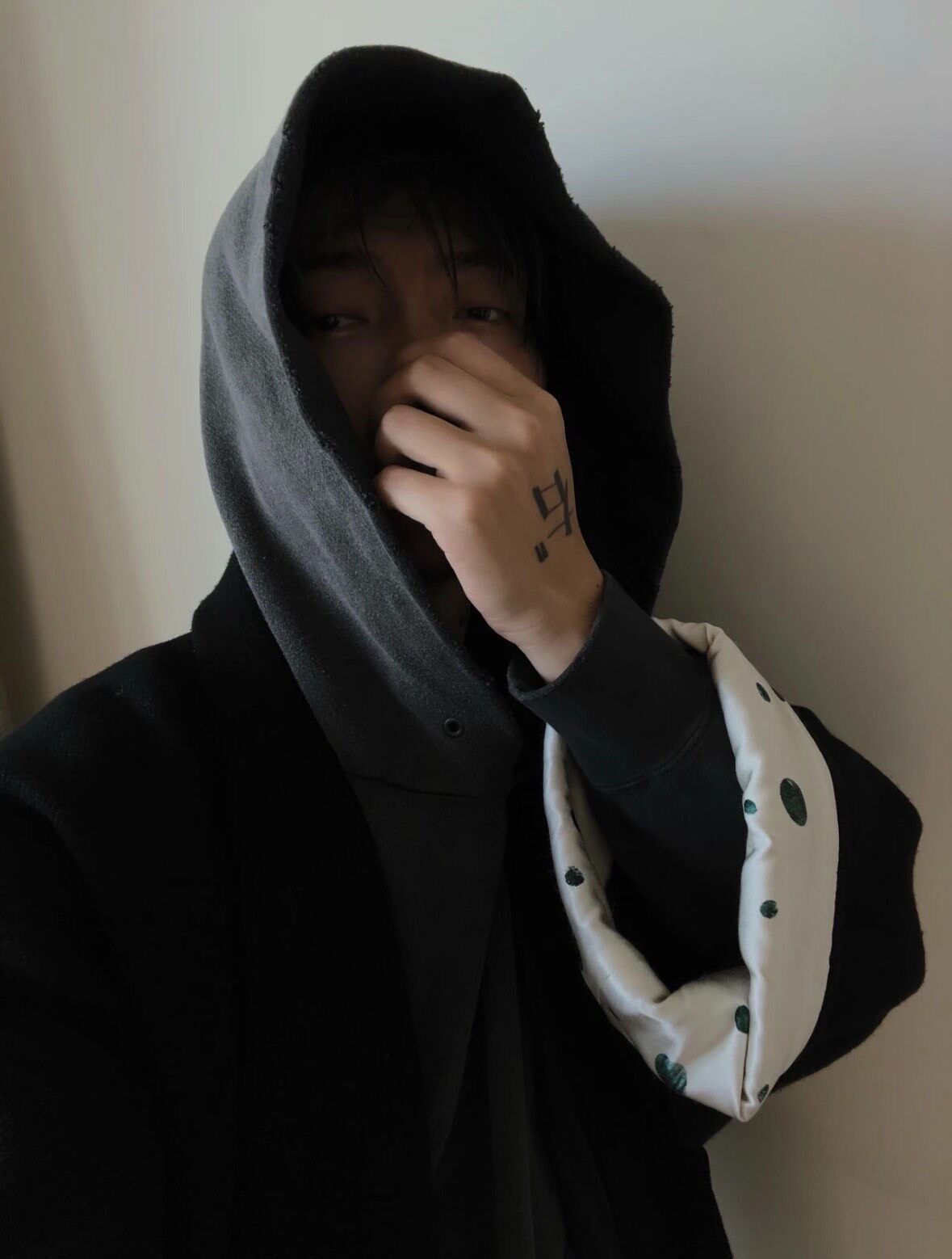 VISVIM 21AW Jumbo CRASH Hoodie — detail
