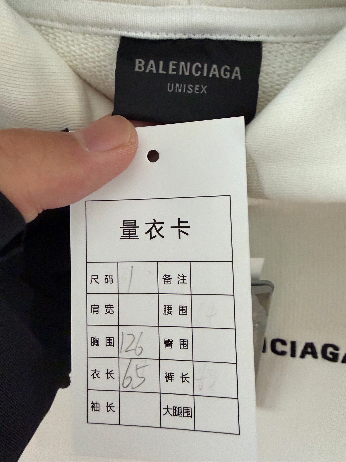 Balenciaga 24FW Hooded Logo Sweatshirt — back