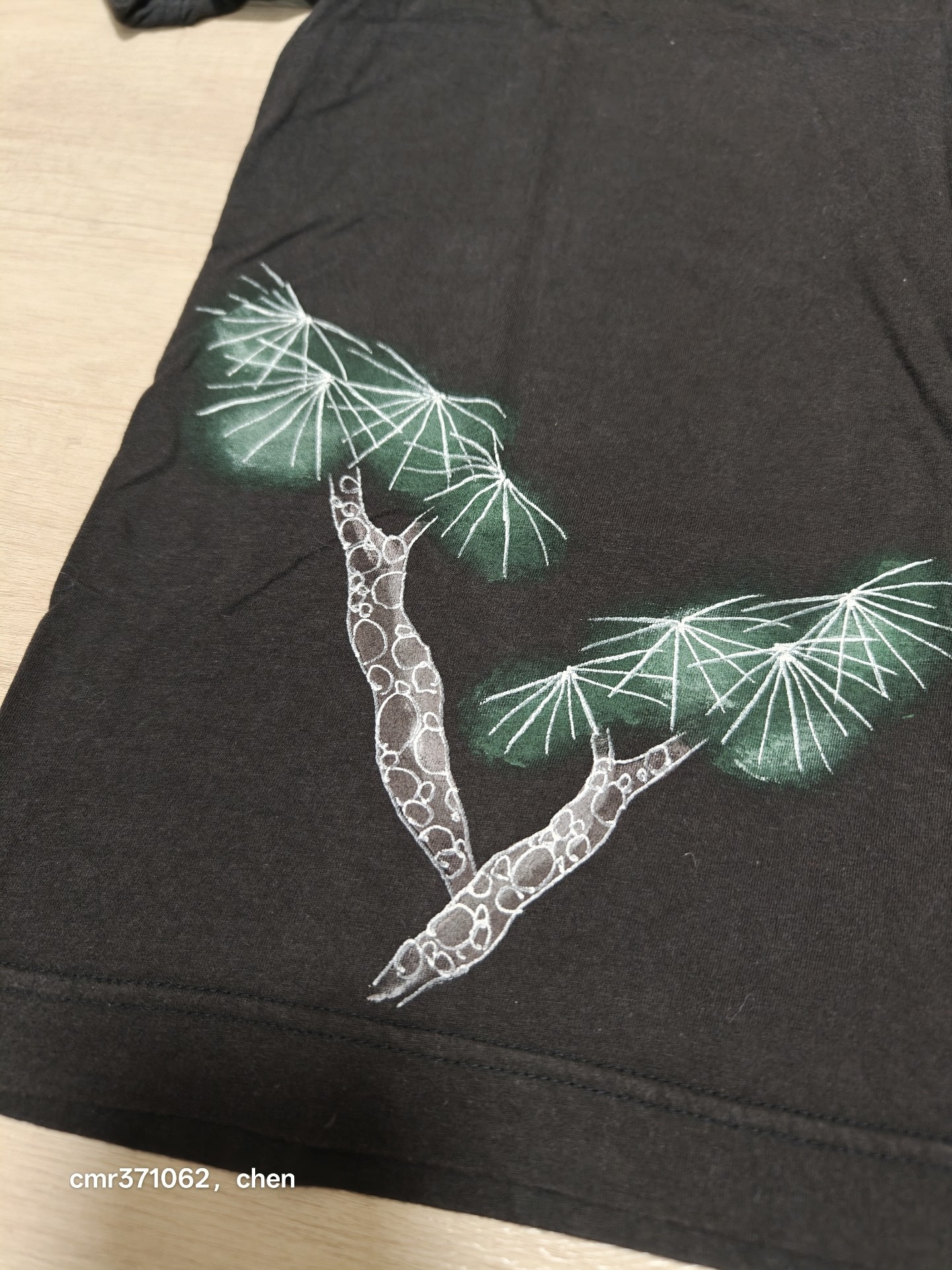 Visvim 19SS Pine Jumbo Short Tee — back