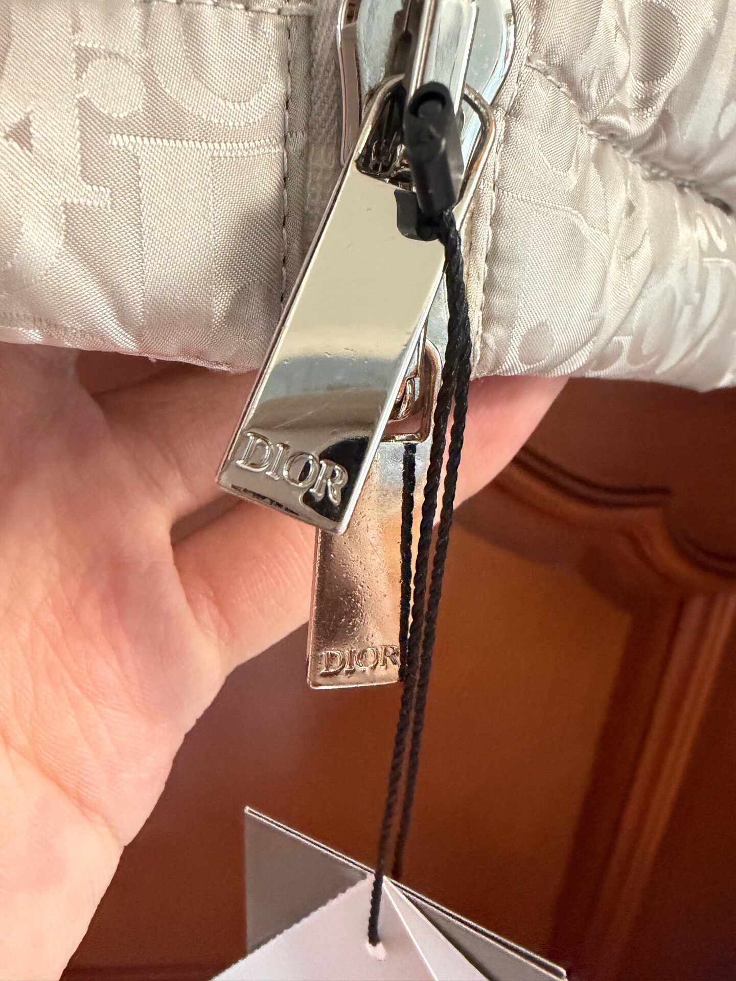 Dior Silver Logo Beige Down Puffer Jacket — back