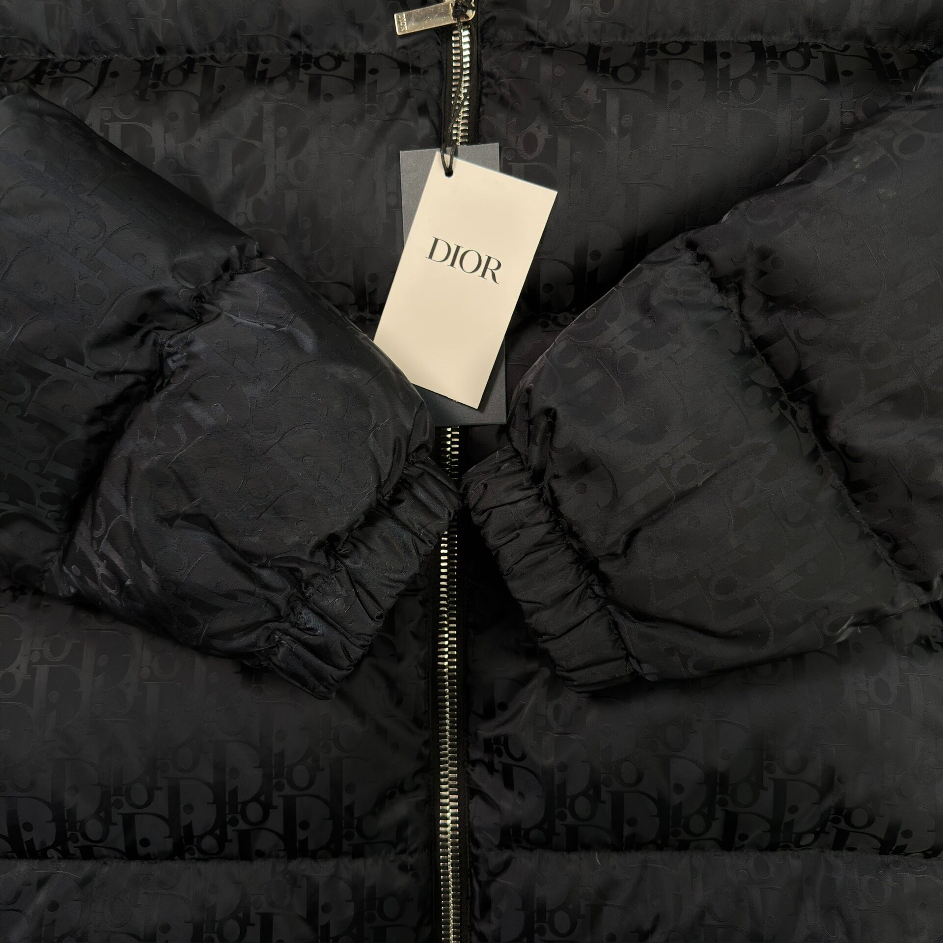 Dior Oblique Black Down Puffer Jacket — back