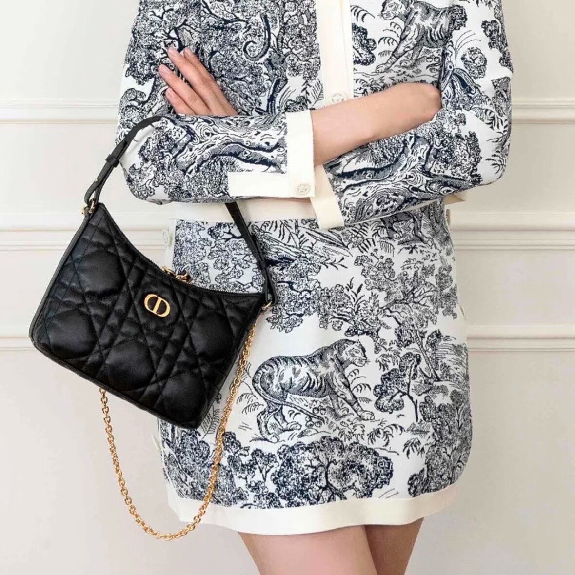 Dior Dioriviera Tiger Print Mini Skirt — front