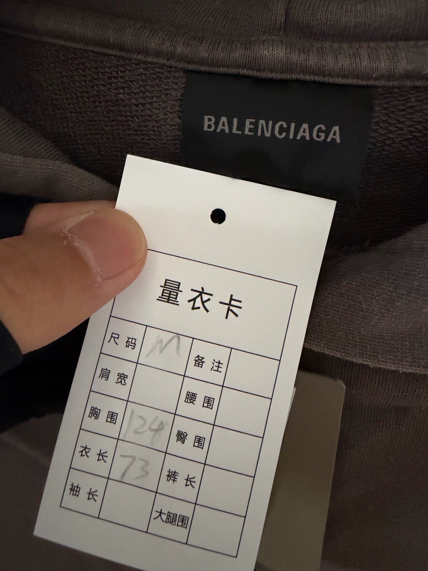 Balenciaga Gray Hoodie Size M New With Tags — detail