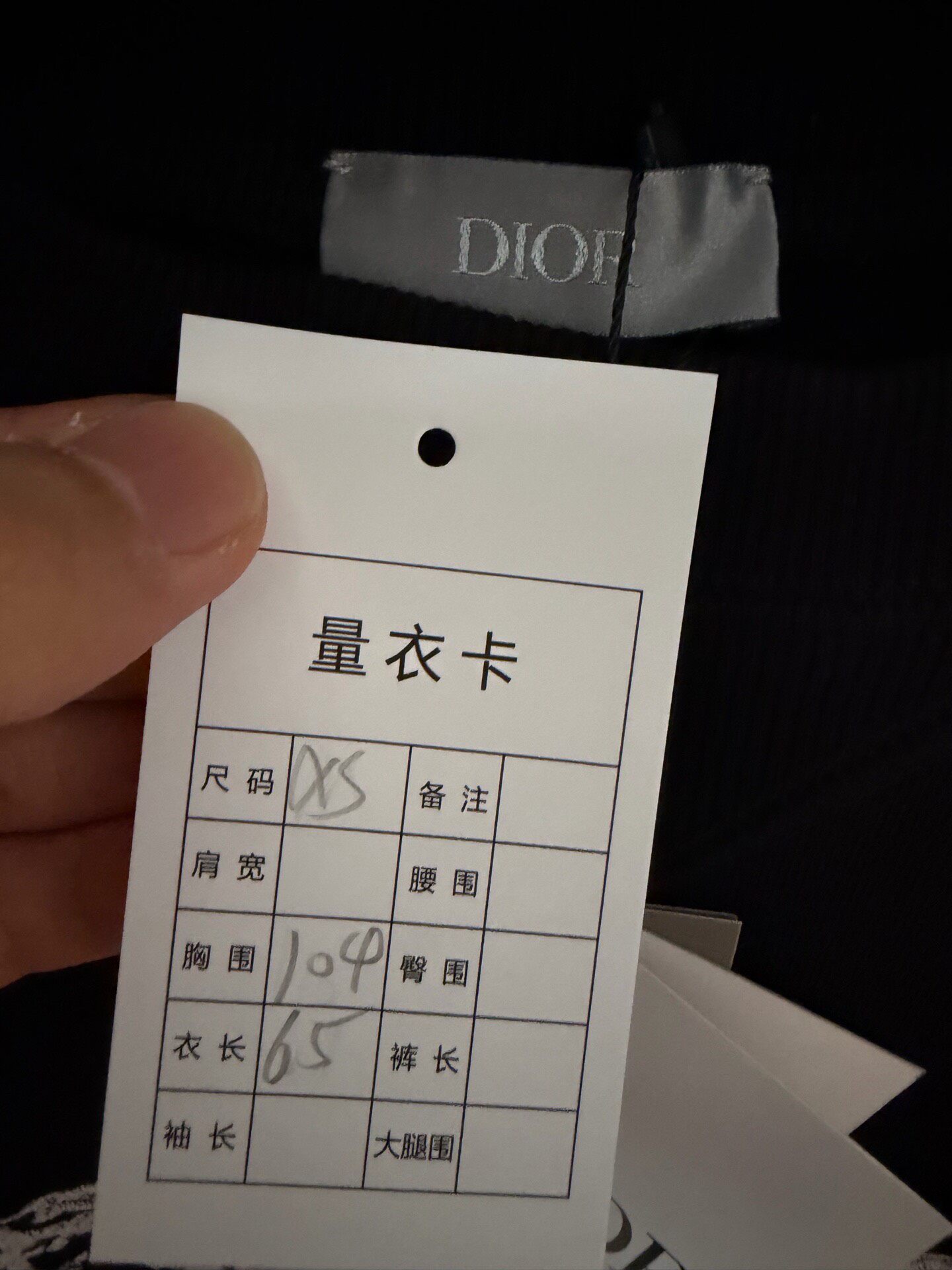 Dior x Peter Doig Embroidered Crewneck Sweatshirt — detail