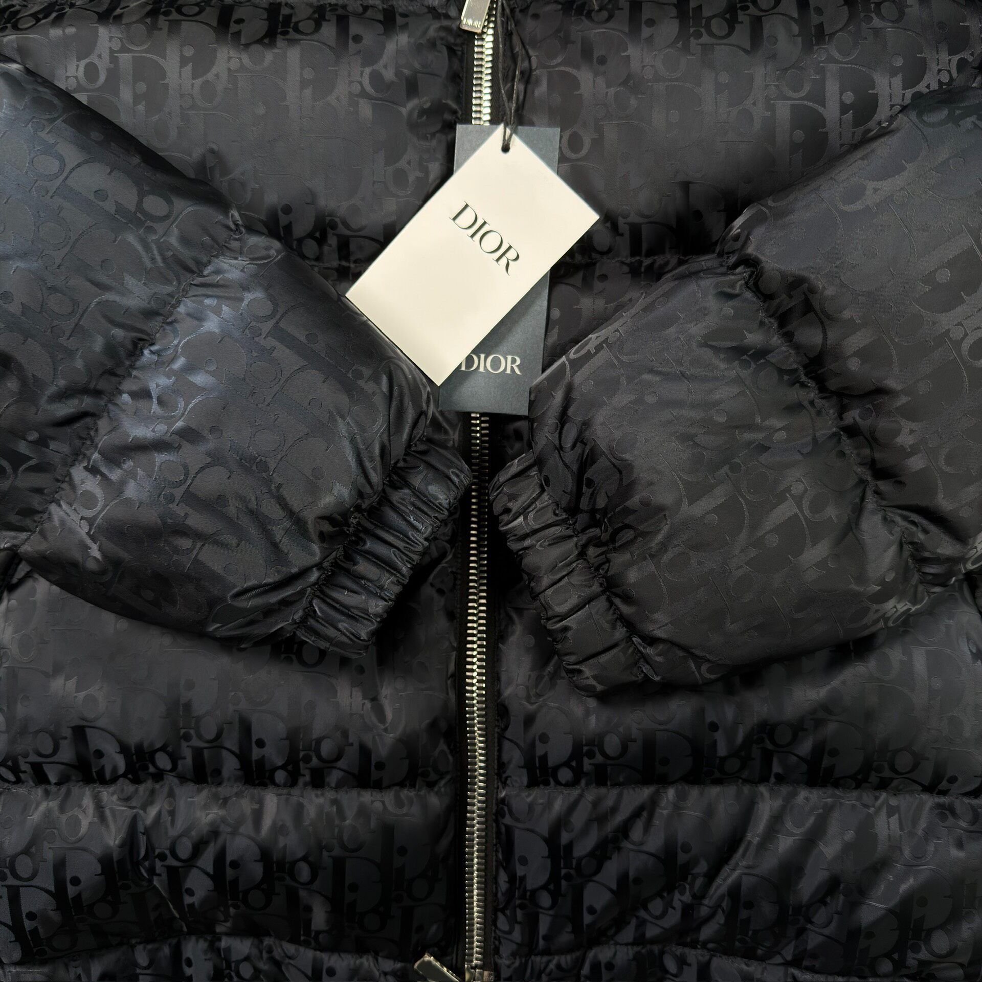 Dior Oblique Black Puffer Down Jacket — back