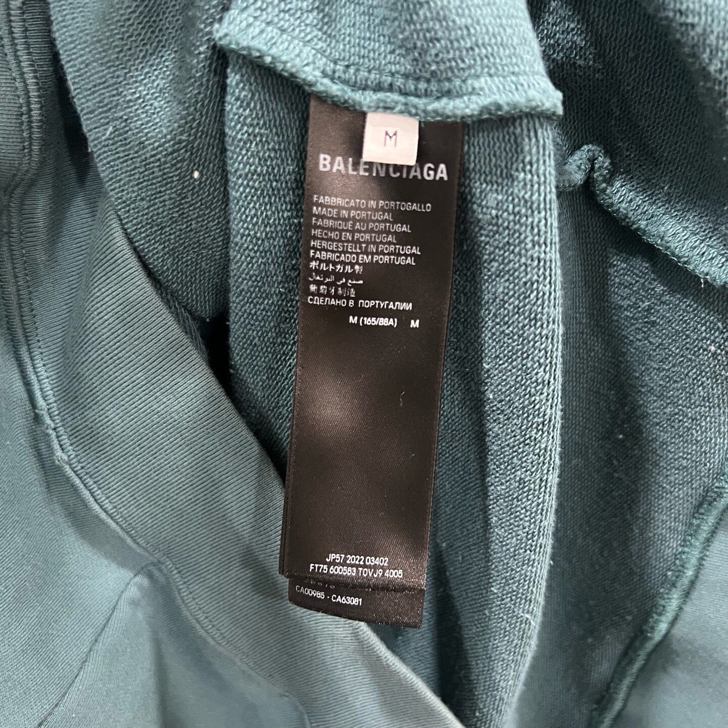 Balenciaga Teal Logo Hoodie — back