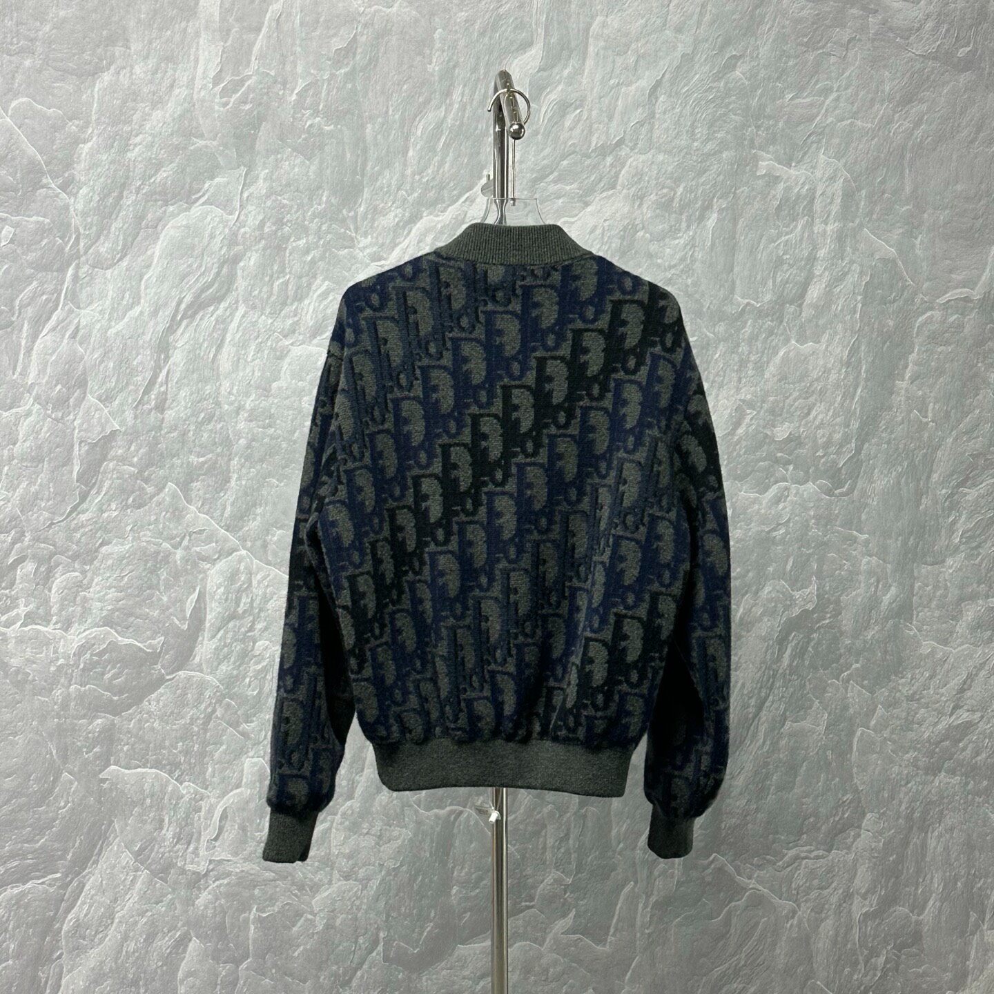 Dior SS26 Oblique Zip-Up Bomber Jacket — back