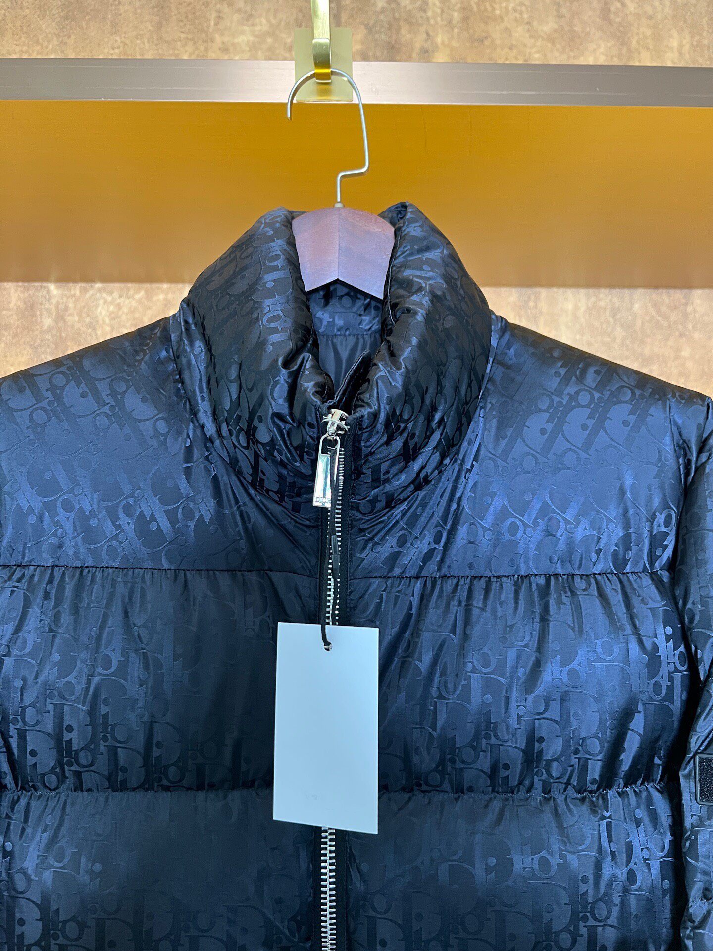 Dior Full Monogram Puffer Down Jacket — back