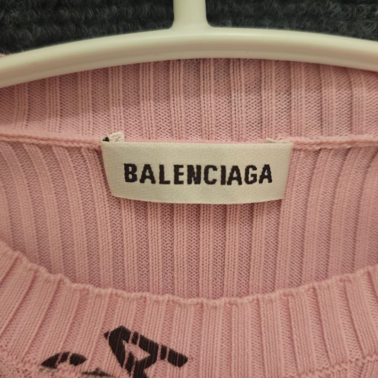 Balenciaga Pink Logo Knit Top — back