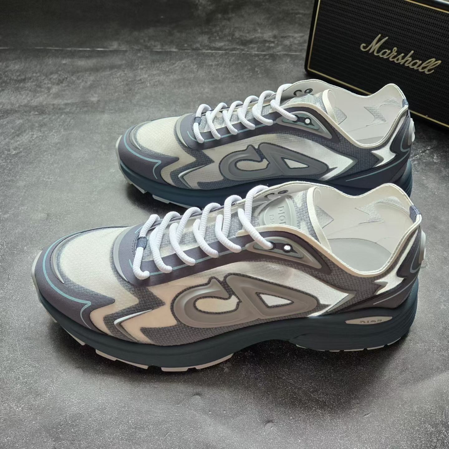 Dior B30 White Blue Sneakers
