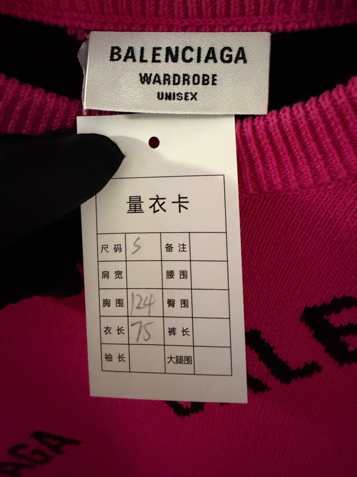 Balenciaga Pink Full-Logo Wool Knit Sweater — back
