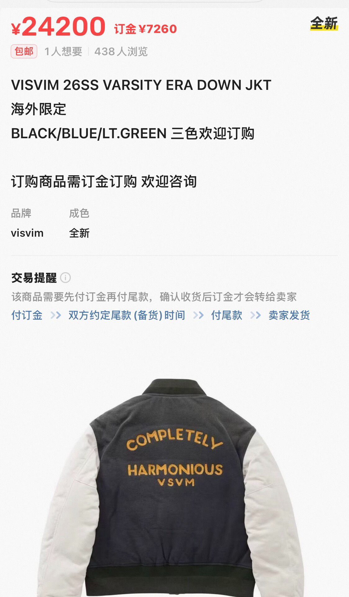 Visvim Varsity Era Down Jacket — detail