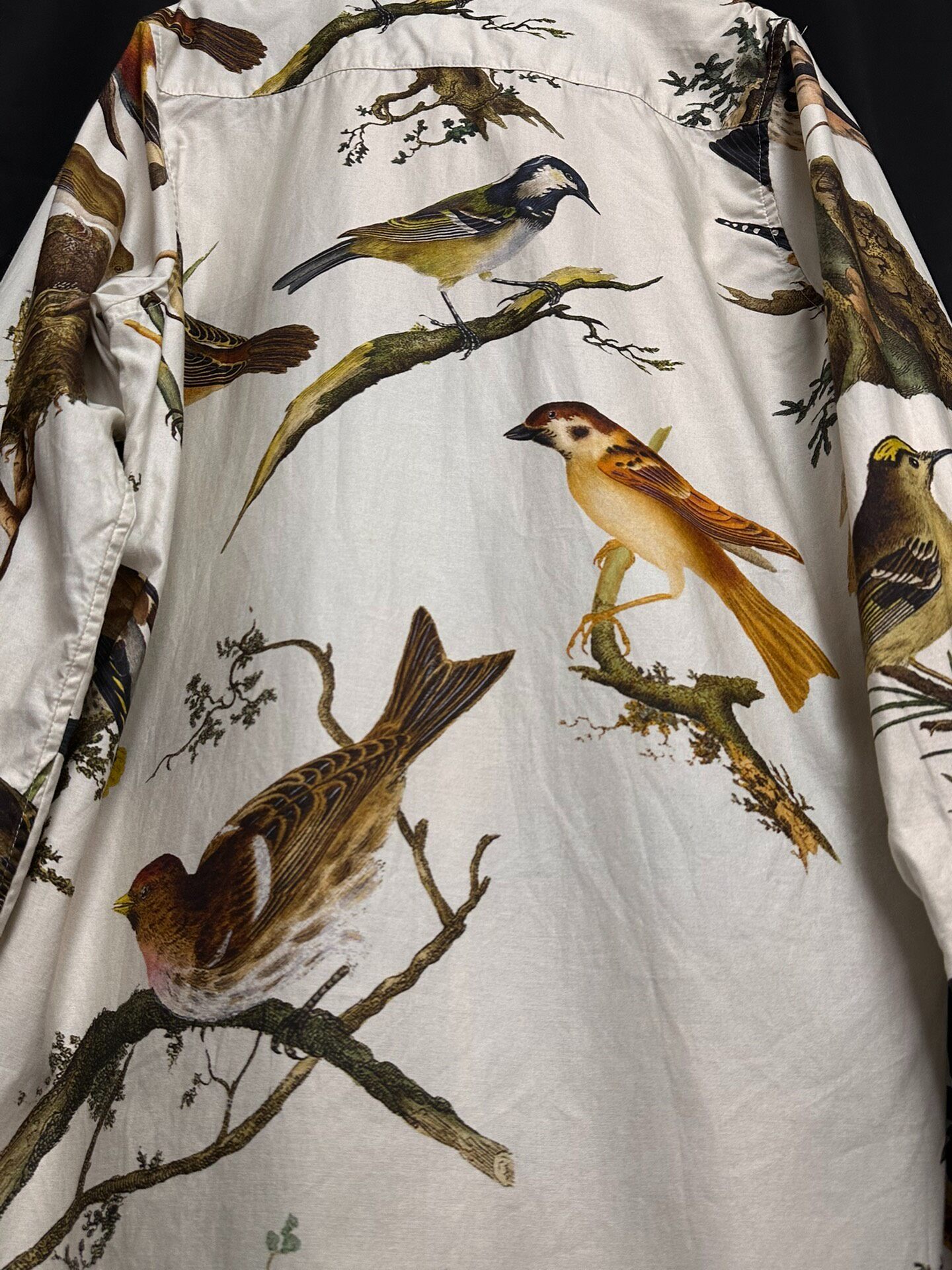 Paul Harnden 20FW Bird Print Shirt — back