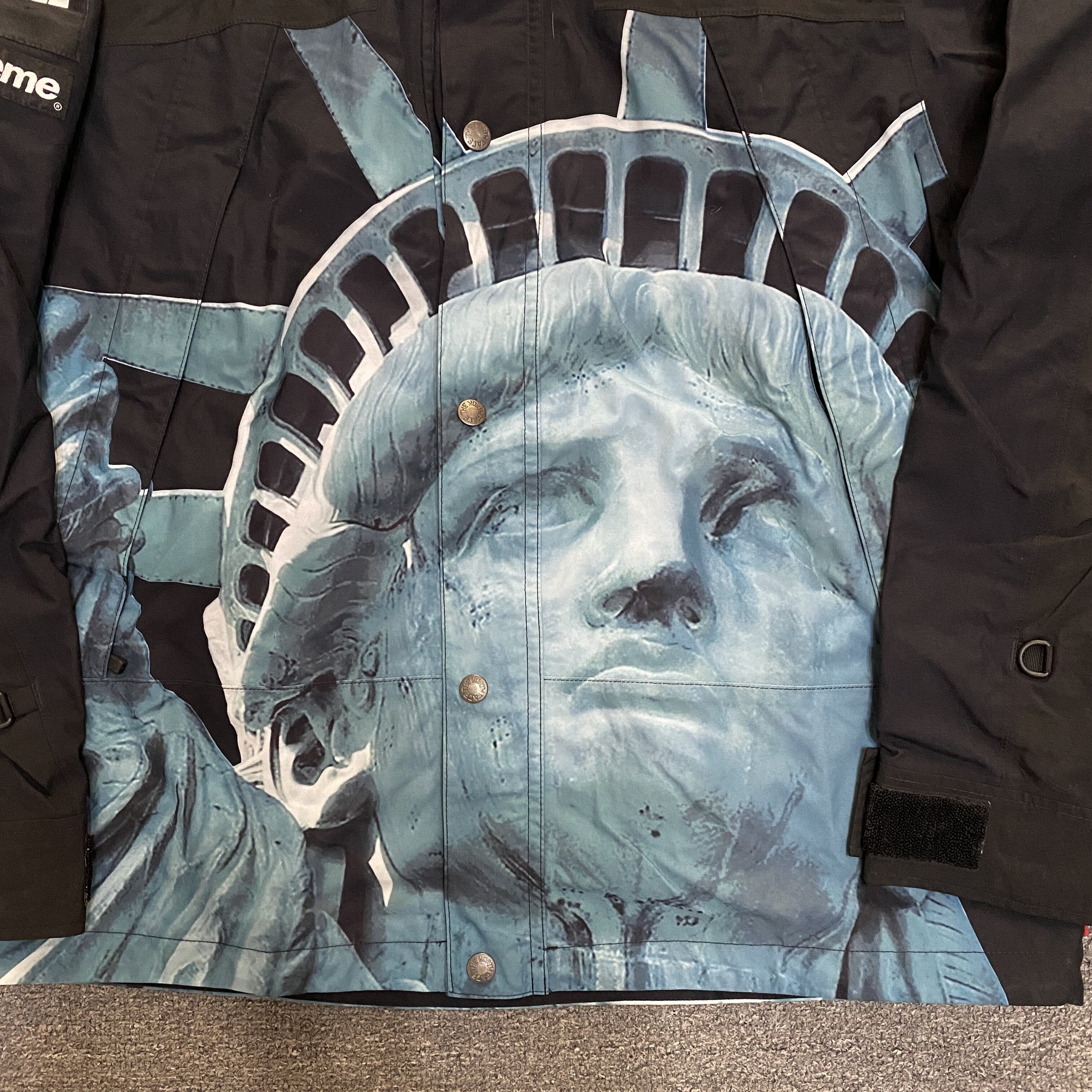 Supreme x TNF Statue of Liberty Jacket — detail