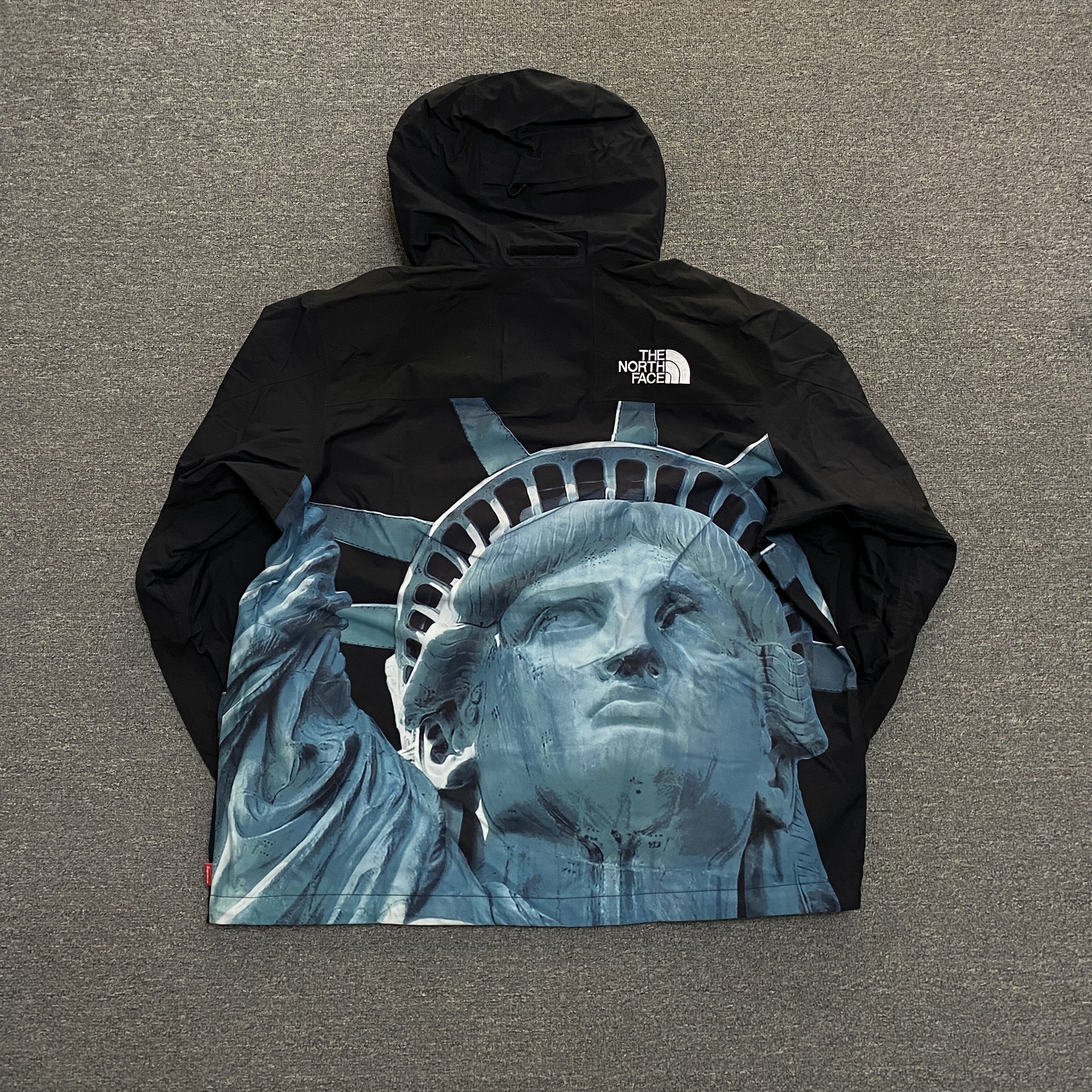 Supreme x TNF Statue of Liberty Jacket — front