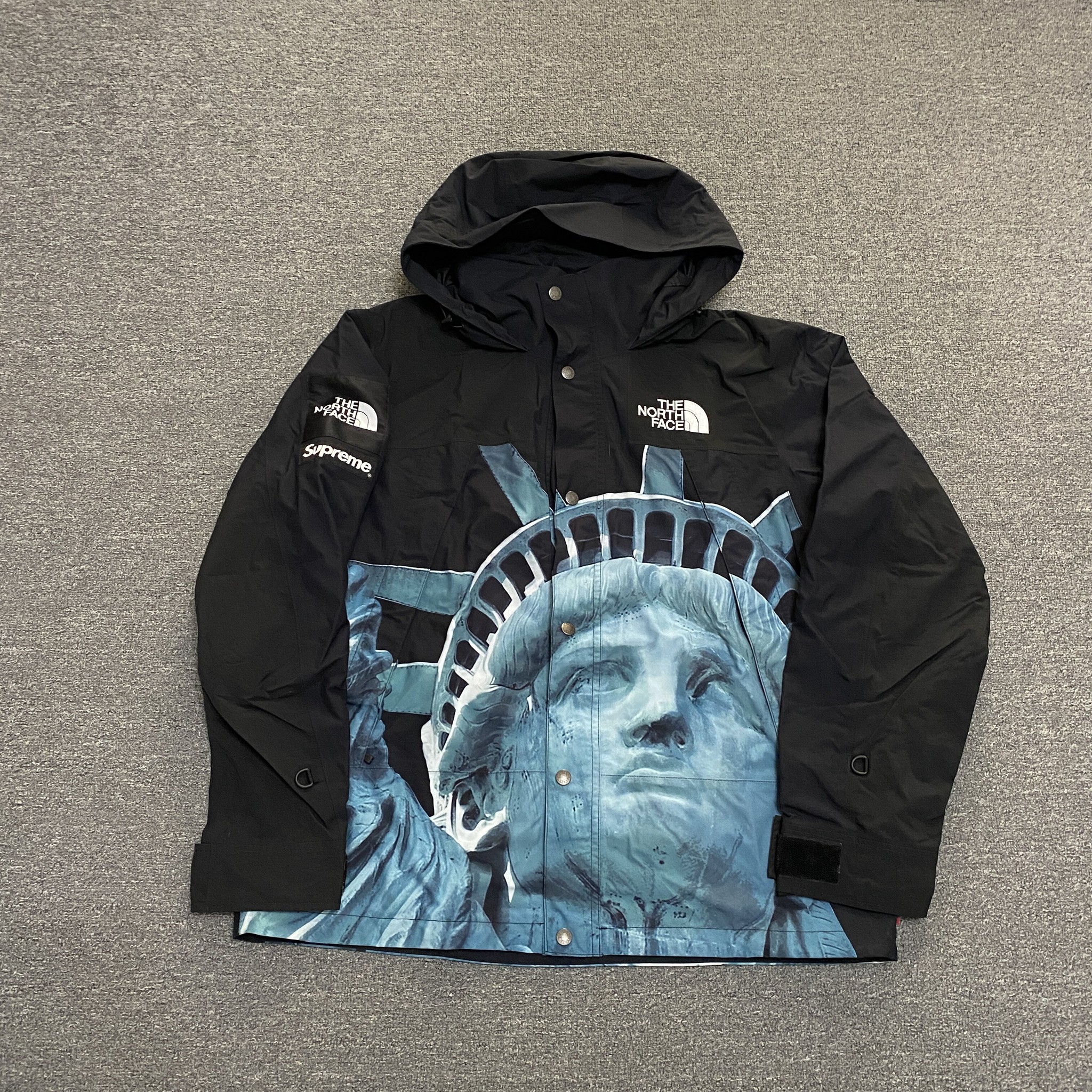 Supreme x TNF Statue of Liberty Jacket