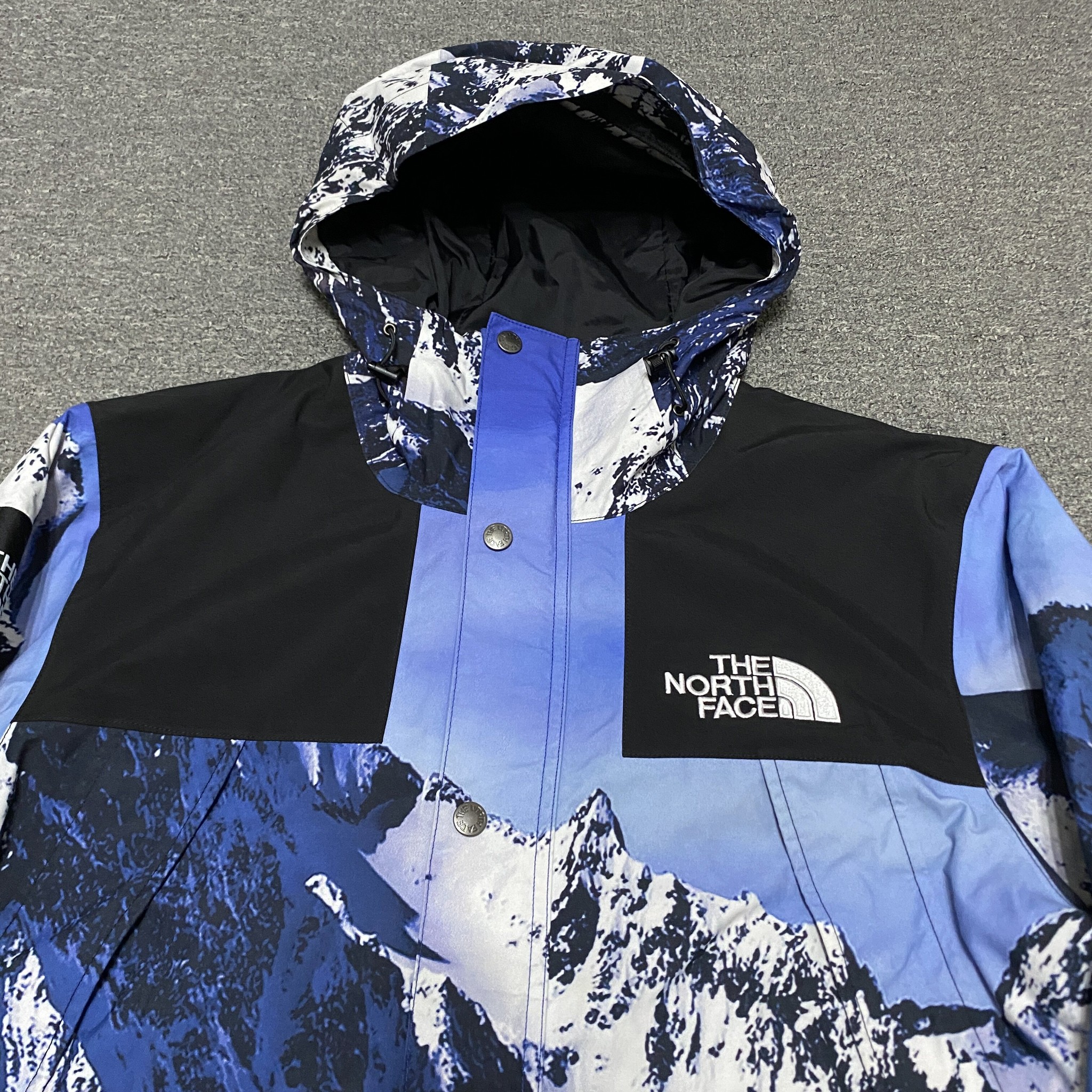 Supreme x TNF Snow Mountain Jacket — detail