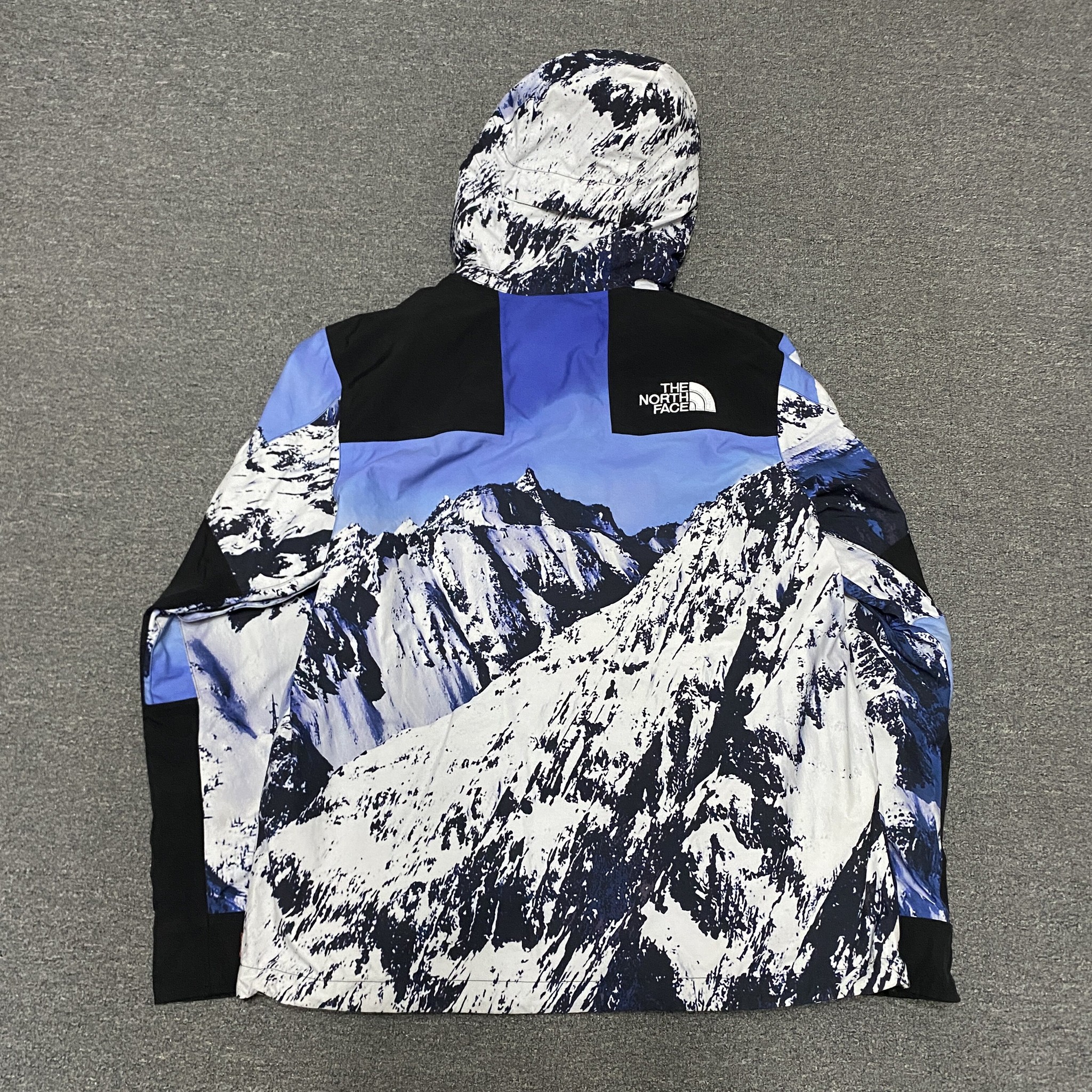 Supreme x TNF Snow Mountain Jacket — front
