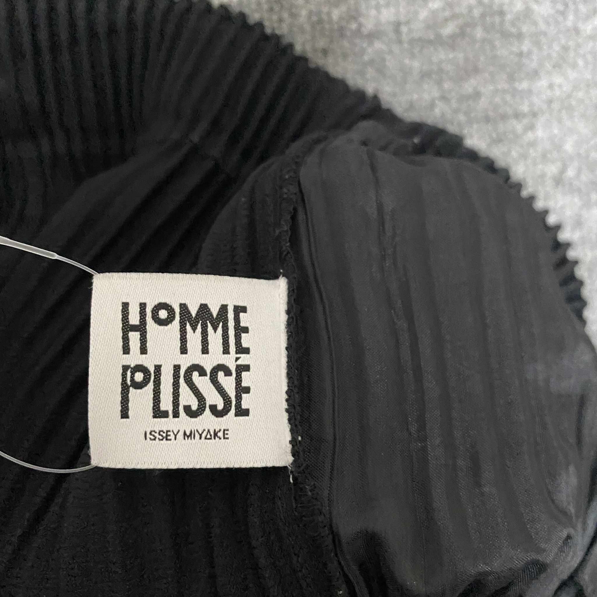 Issey Miyake JF150 Pleated Casual Pants — back