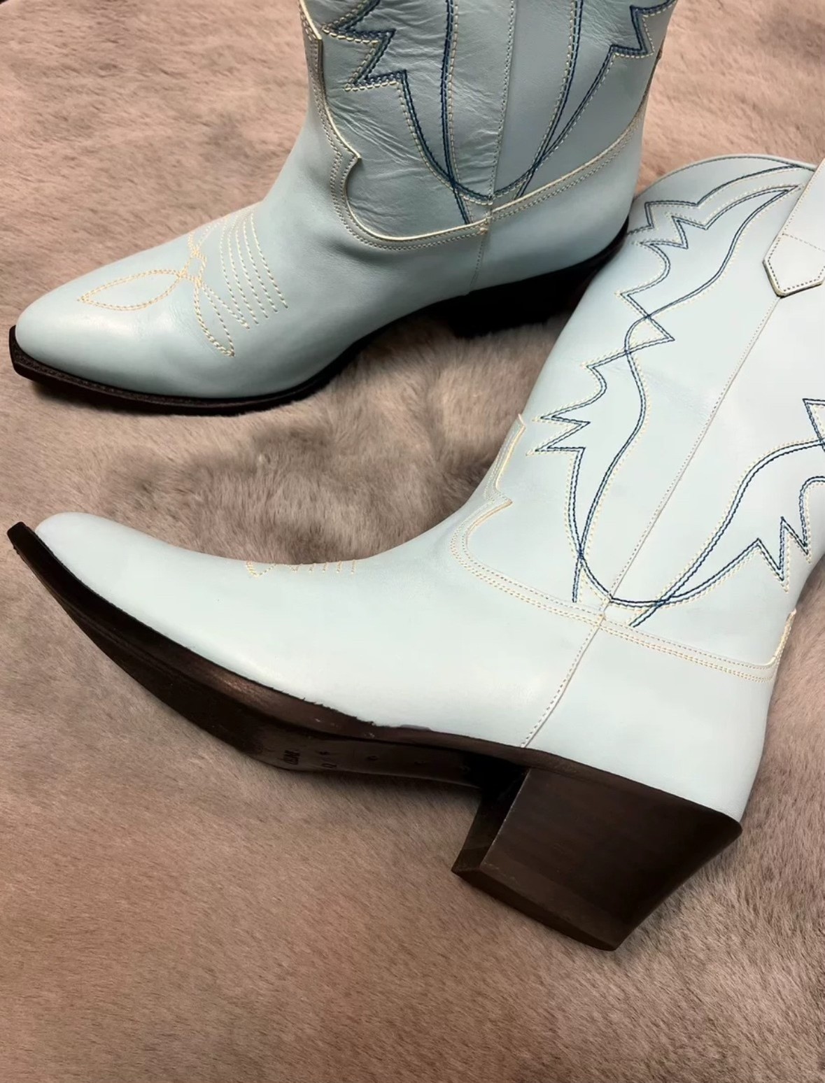 Celine Light Blue Western Boots — back