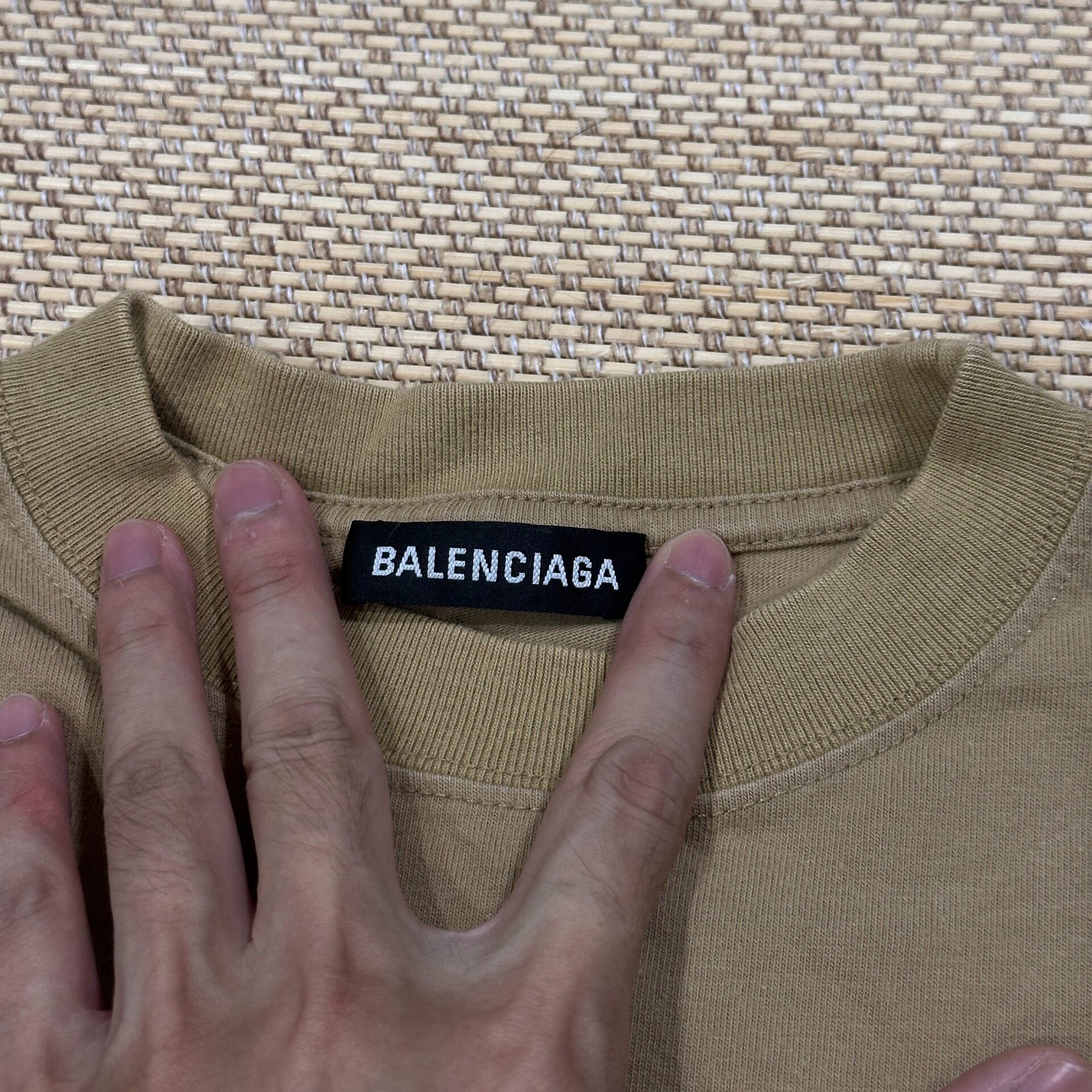 Balenciaga Desert Taupe Short-Sleeve T-Shirt — back