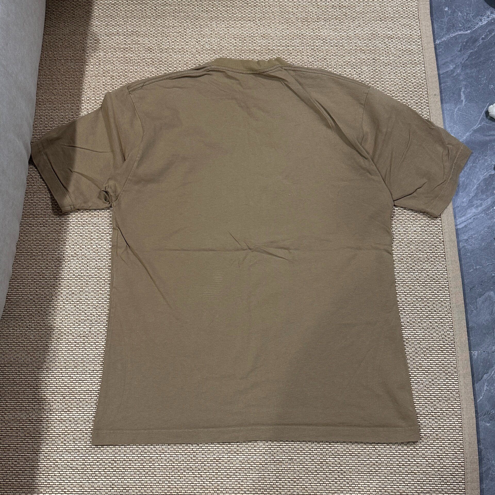 Balenciaga Desert Taupe Short-Sleeve T-Shirt — front