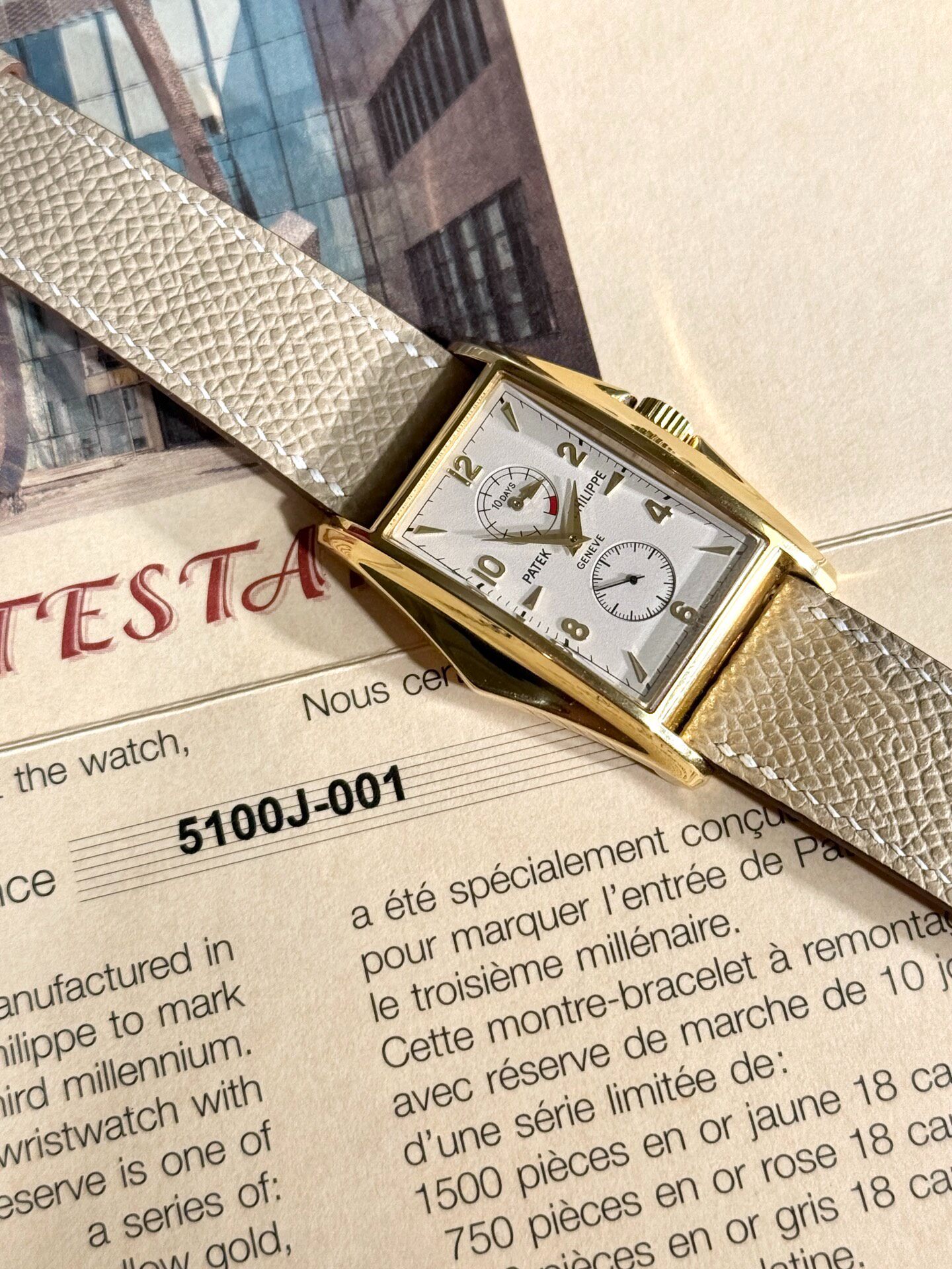 Patek Philippe 5100 Manta Ray Watch — back
