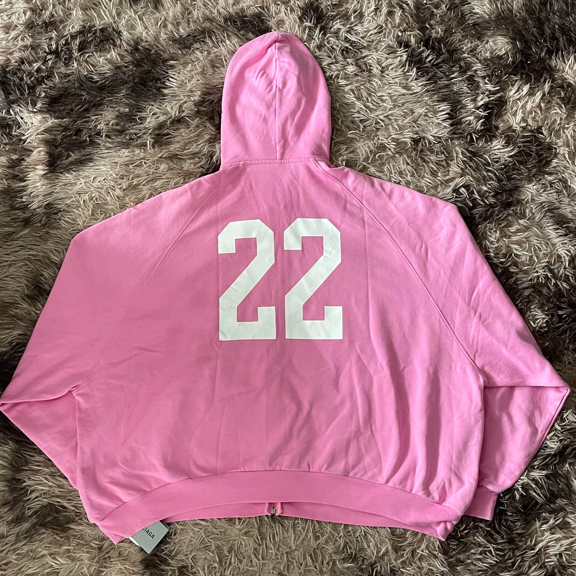Balenciaga Pink Horse Print Zip Hoodie — front